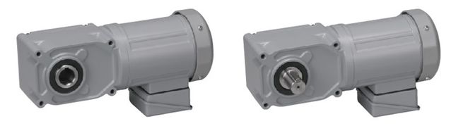 GTR感应齿轮电机（0.1kW-2.2kW）：同心中空中实轴（F3）
