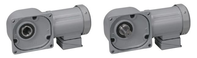 GTR感应齿轮电机（0.1kW-2.2kW）：中空中实轴（F）